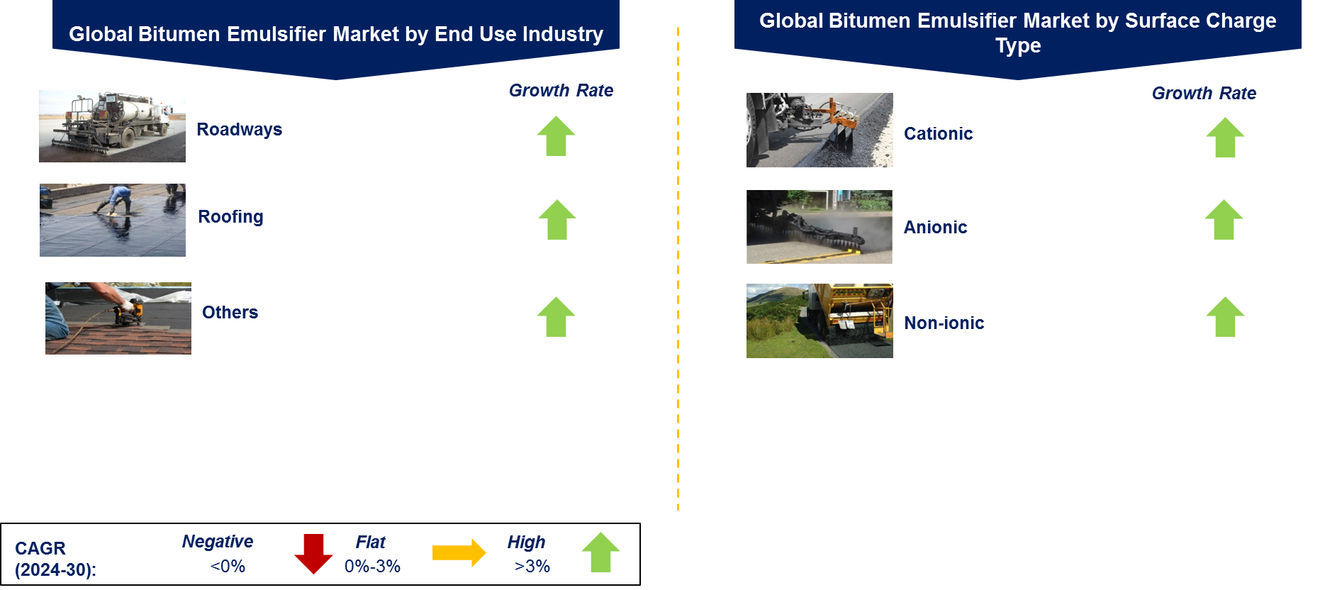 Bitumen Emulsifier Market by Segment